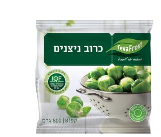 כרוב ניצנים
